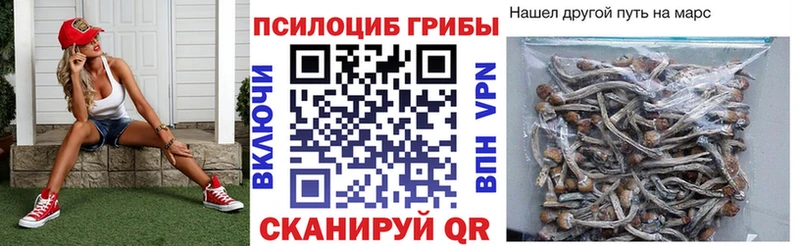 как найти наркотики  Чехов  Псилоцибиновые грибы Cubensis 